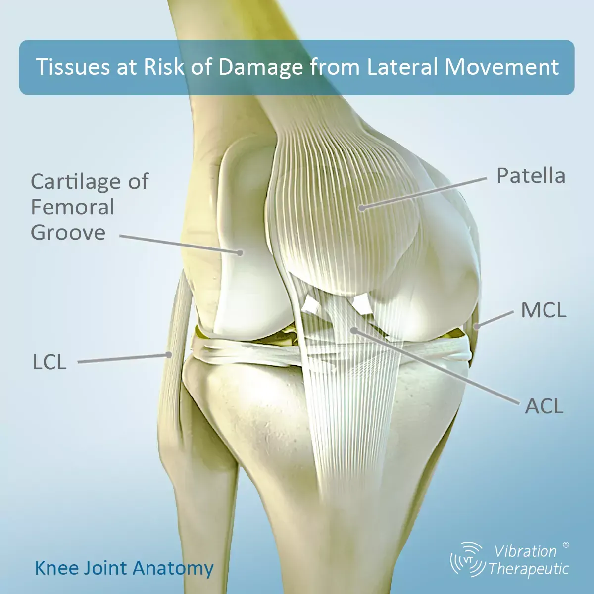 3D/4D Vibration Plate Can Harm Your Knees
