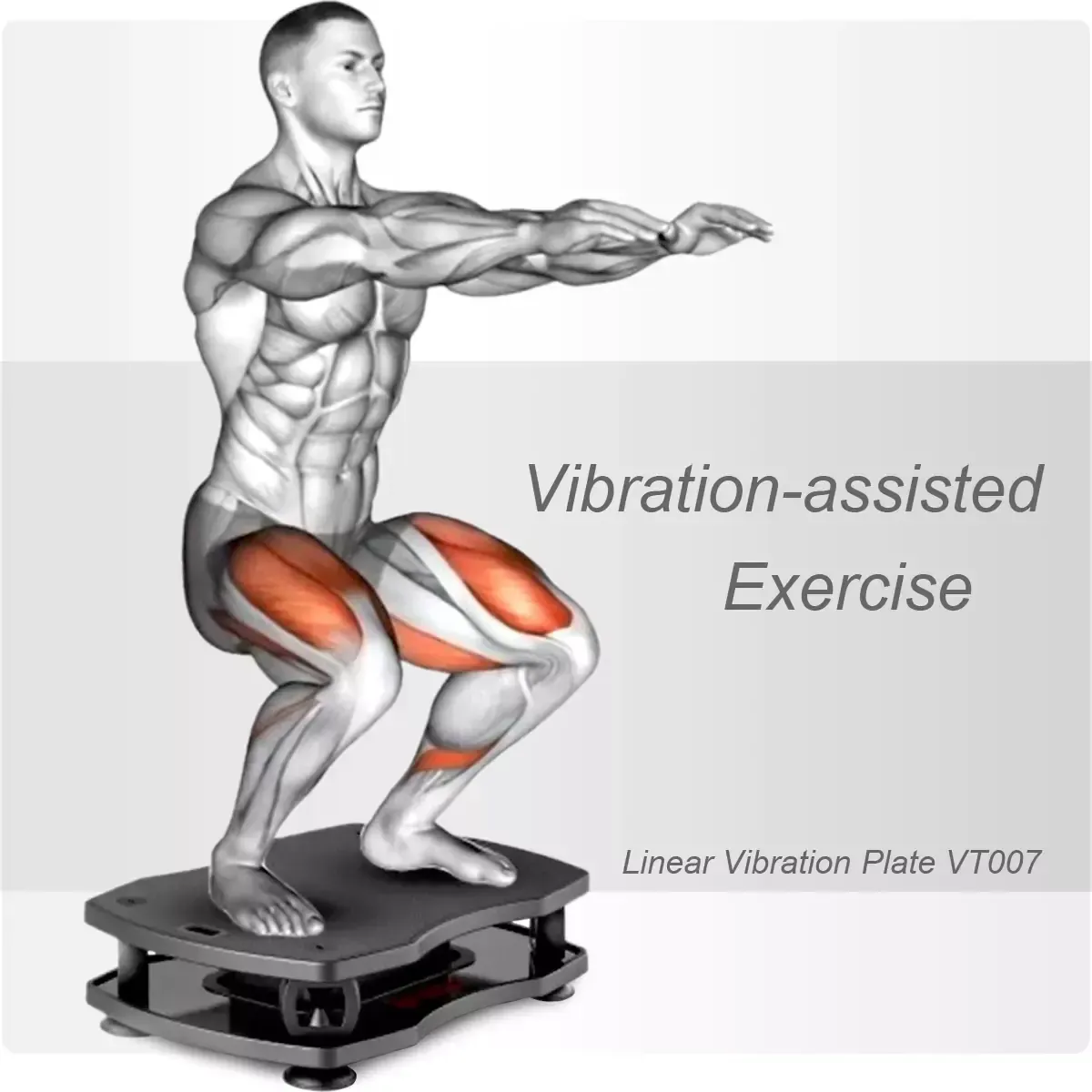  Vibration Plate Exercise Guide
