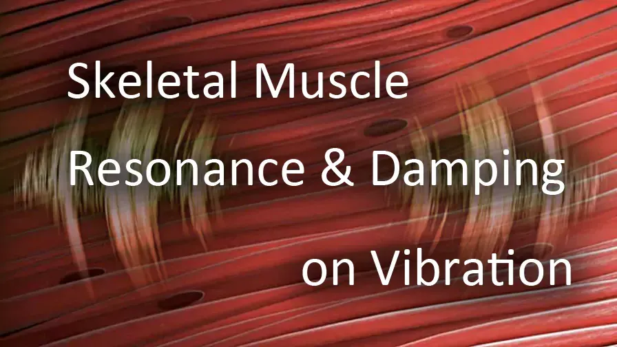 Skeletal Muscle Resonance & Damping in Vibration
