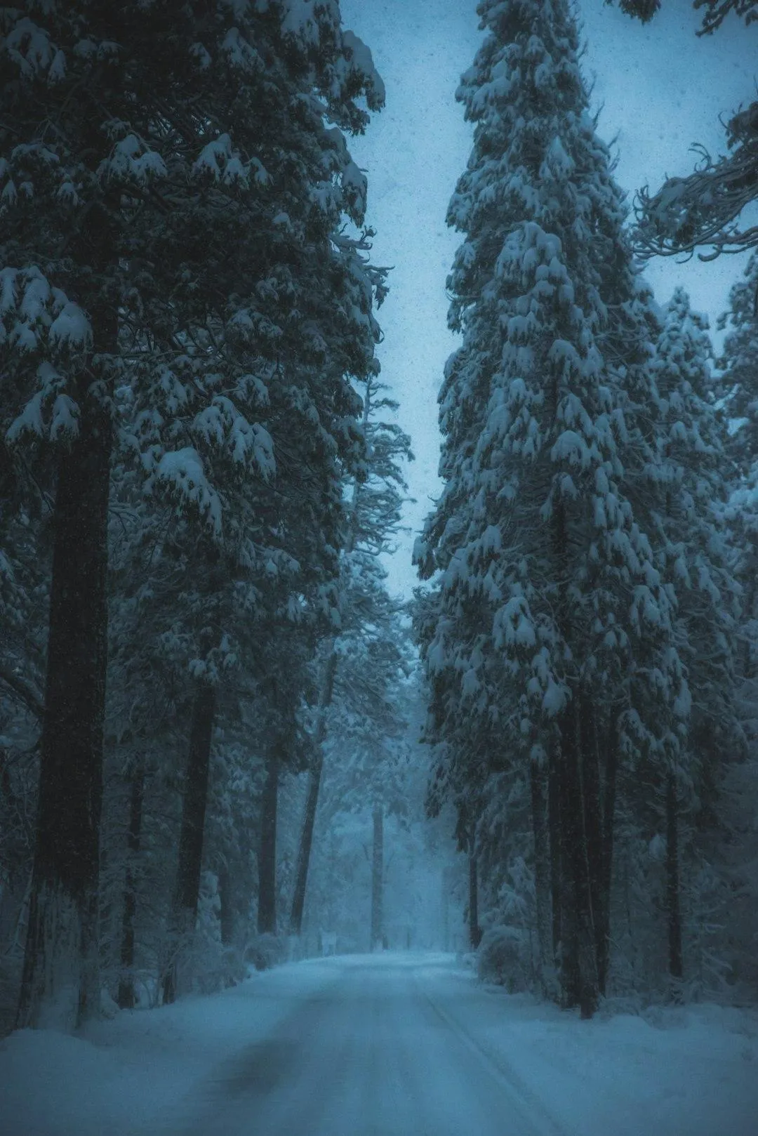 Dark Seasons