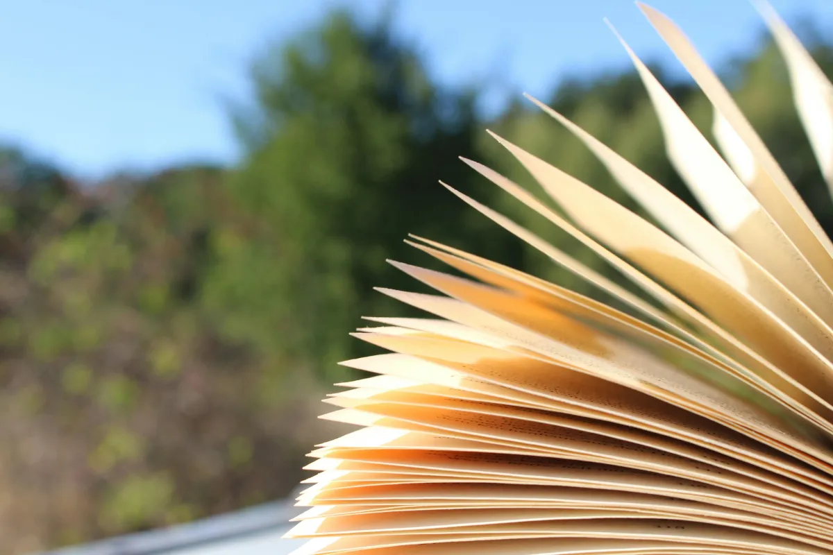 Boost Your Story's Momentum with Narrative Drive