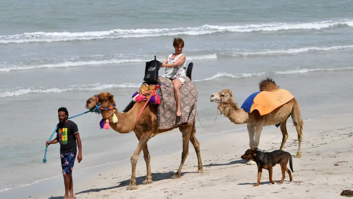 رقمنة و شباب السياحة التونسية تستعد لمرحلة جديدة