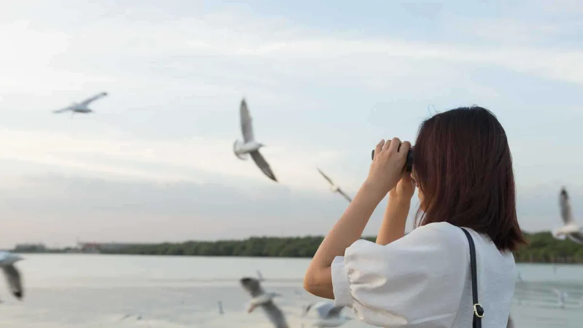 لمحبي الطيور.. رحلات بحرية مصممة لك