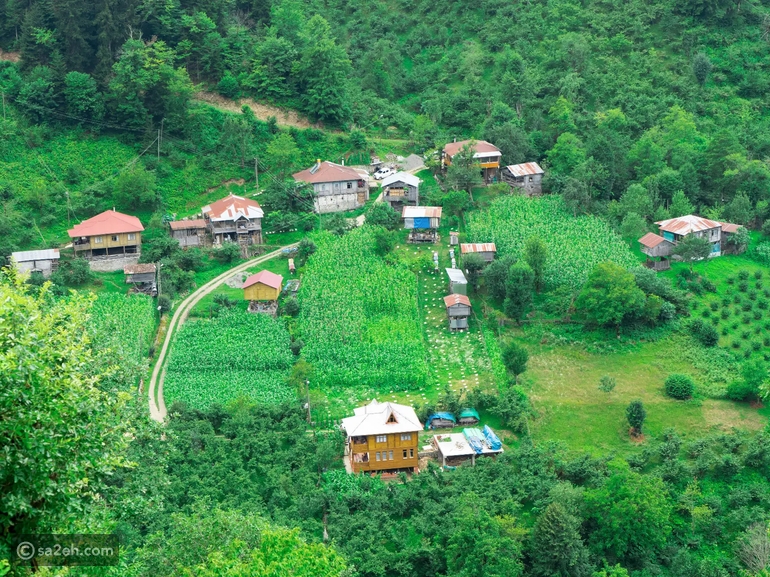 دهب الأناضول المنسي: سحر آرتفين الخضراء