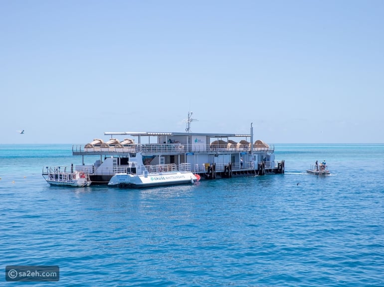رحلة بحرية على الحاجز المرجاني العظيم في أستراليا: بين الشعاب والمغامرة البحرية