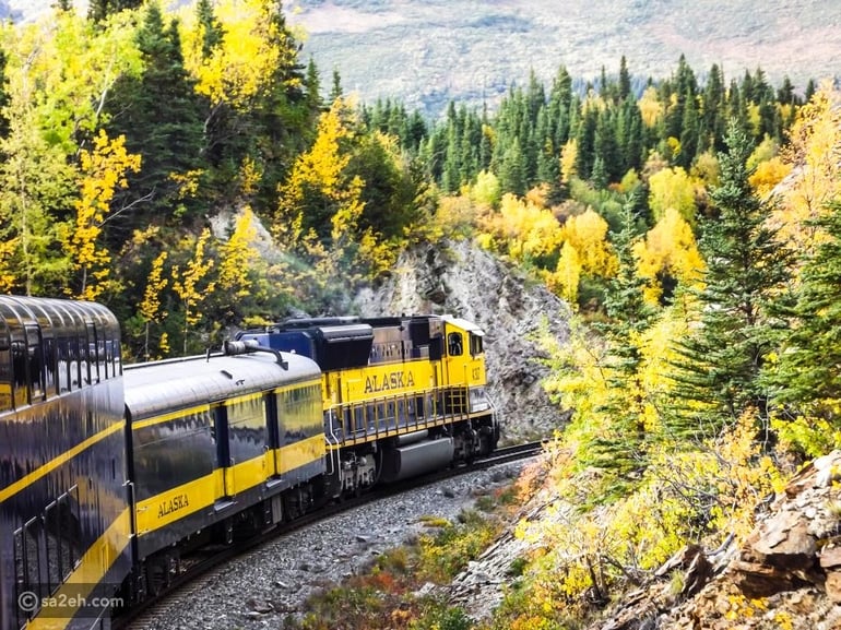 قطار ألاسكا: مغامرة سكة حديدية عبر الجزر والطبيعة البكر