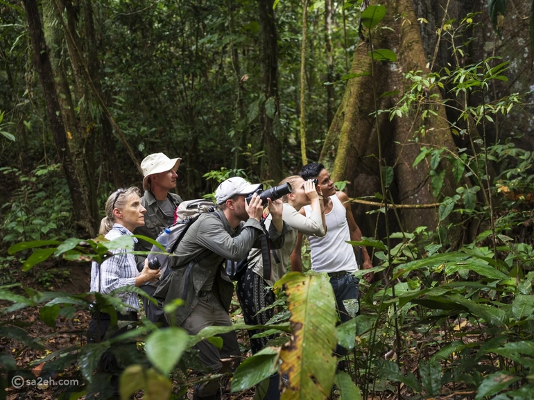 السياحة البيئية: كيف تستمتع بالطبيعة دون الإضرار بها؟
