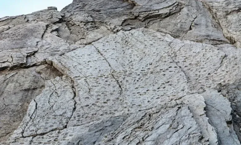 كشف علمي يعيد قراءة تاريخ جبال الألب