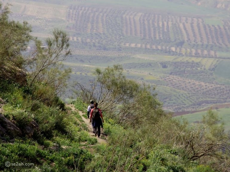 مسارات الهايكنج في الأردن: مغامرة بين الجبال والتاريخ