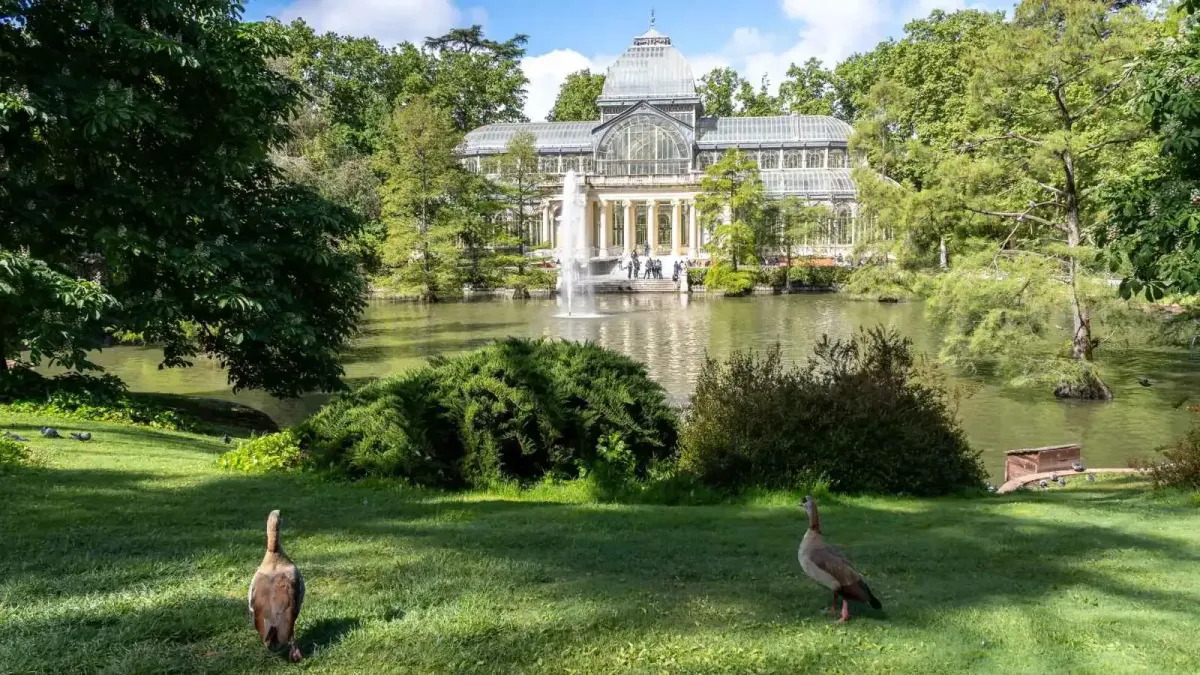 أفضل المعالم السياحية في مدريد لجميع الميزانيات