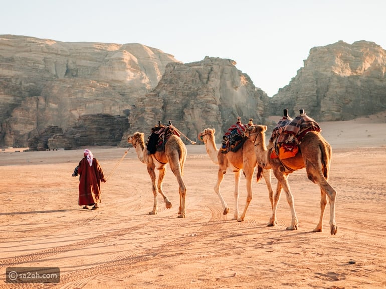 السياحة البطيئة في العالم العربي: تجربة تمزج الاسترخاء والثقافة