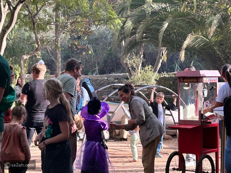 كيف تصنع ذكريات لا تُنسى عبر استكشاف ثقافات جديدة