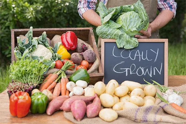Nutrition Trends 2025