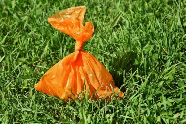 From Mess to Fresh: Carmel Pooper Scoopers for a Cleaner Yard