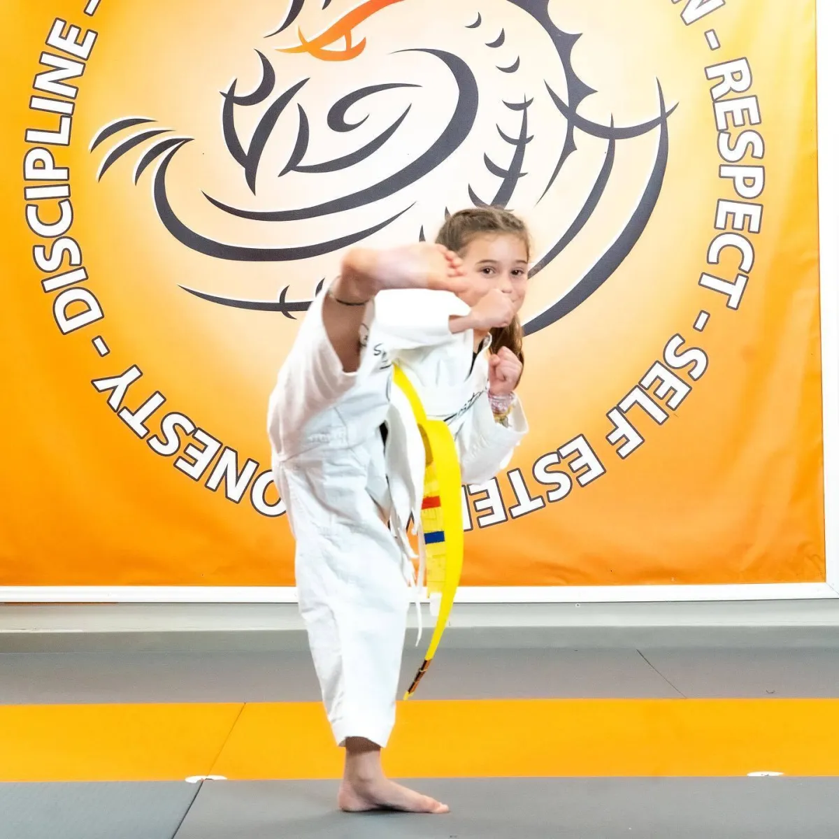 Agility: The Benefits of Martial Arts Series