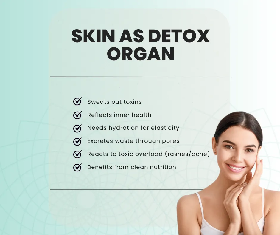 Infographic on the role of skin in detoxification with a smiling woman