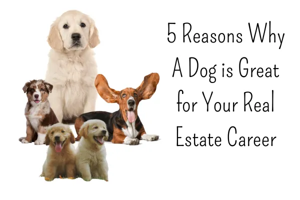 5 Reasons Why A Dog is Great for Your Real Estate Career
