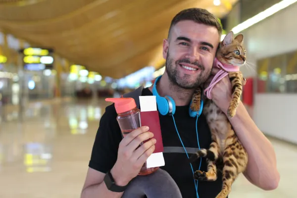 Safe Air Travel for Pets