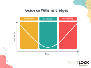 What is Bridges Transition Model? Change vs Transition Explained
