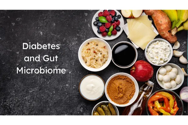 The Role of Gut Health in Diabetes Management
