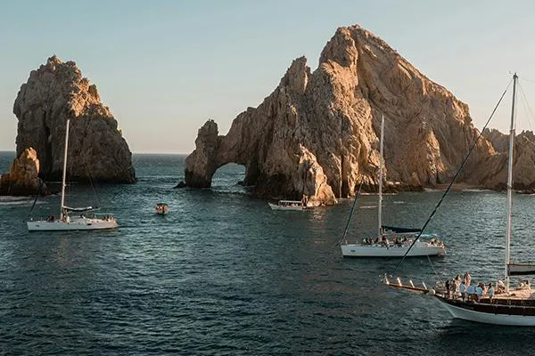 Best Time of Year to Book a Fishing Charter in Los Cabos