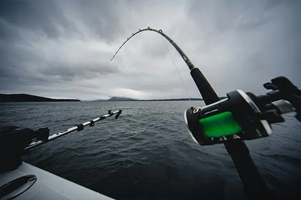 cost of sport fishing in los cabos