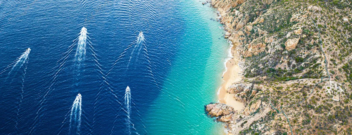 Top 5 Game Fish in Cabo Summer 2025 | Catch Marlin, Tuna, Dorado & More