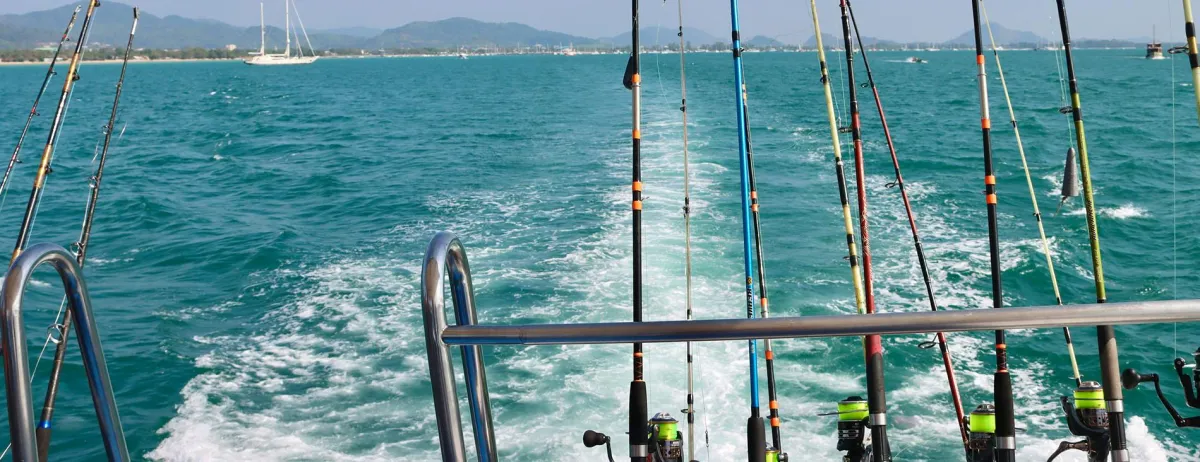 Cabo Inshore vs Offshore Fishing | What’s Best for Your 2025 Trip?