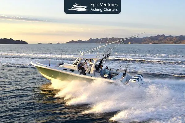 The Ultimate Deep Sea Fishing Adventure in Los Cabos | Epic Ventures Fishing Charters