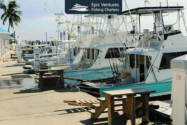 Cabo Fishing Boats: Comfort, Adventure, and Big-Game Fishing Combined