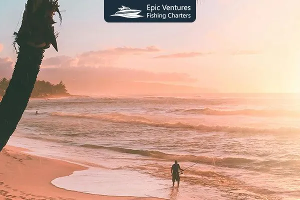 Beach Fishing in Cabo San Lucas: A Shoreline Angler’s Dream