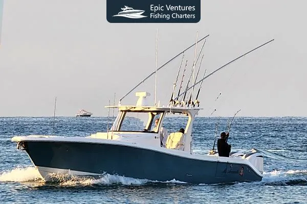 Charter Fishing in Cabo The Ultimate Sportfishing Adventure