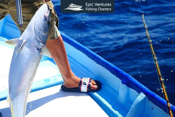 More Than Fishing: The Cabo Experience