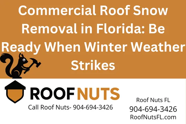 Commercial Roof Snow Removal Service