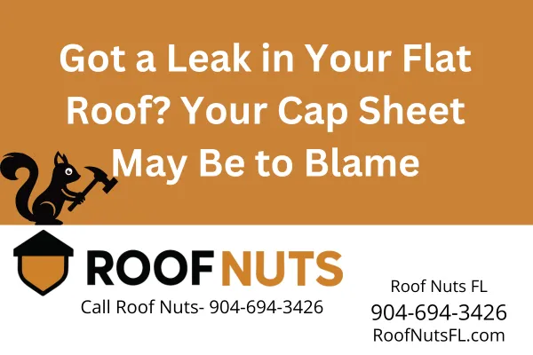 Roof Nuts FL offers professional cap sheet repairs for modified bitumen roofs across Florida. Stop leaks and restore performance with expert patching and resealing.