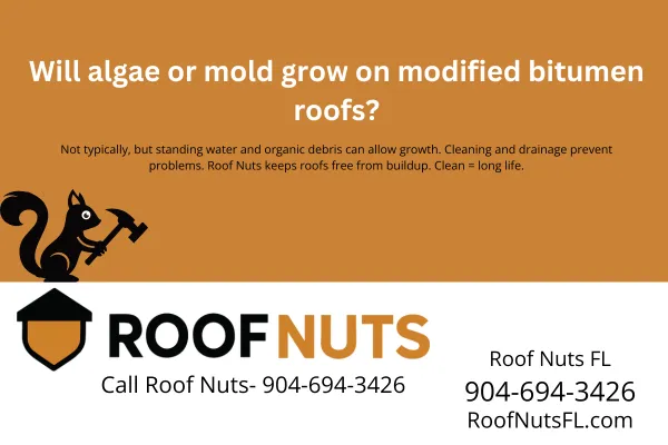 Will algae or mold grow on modified bitumen roofs?