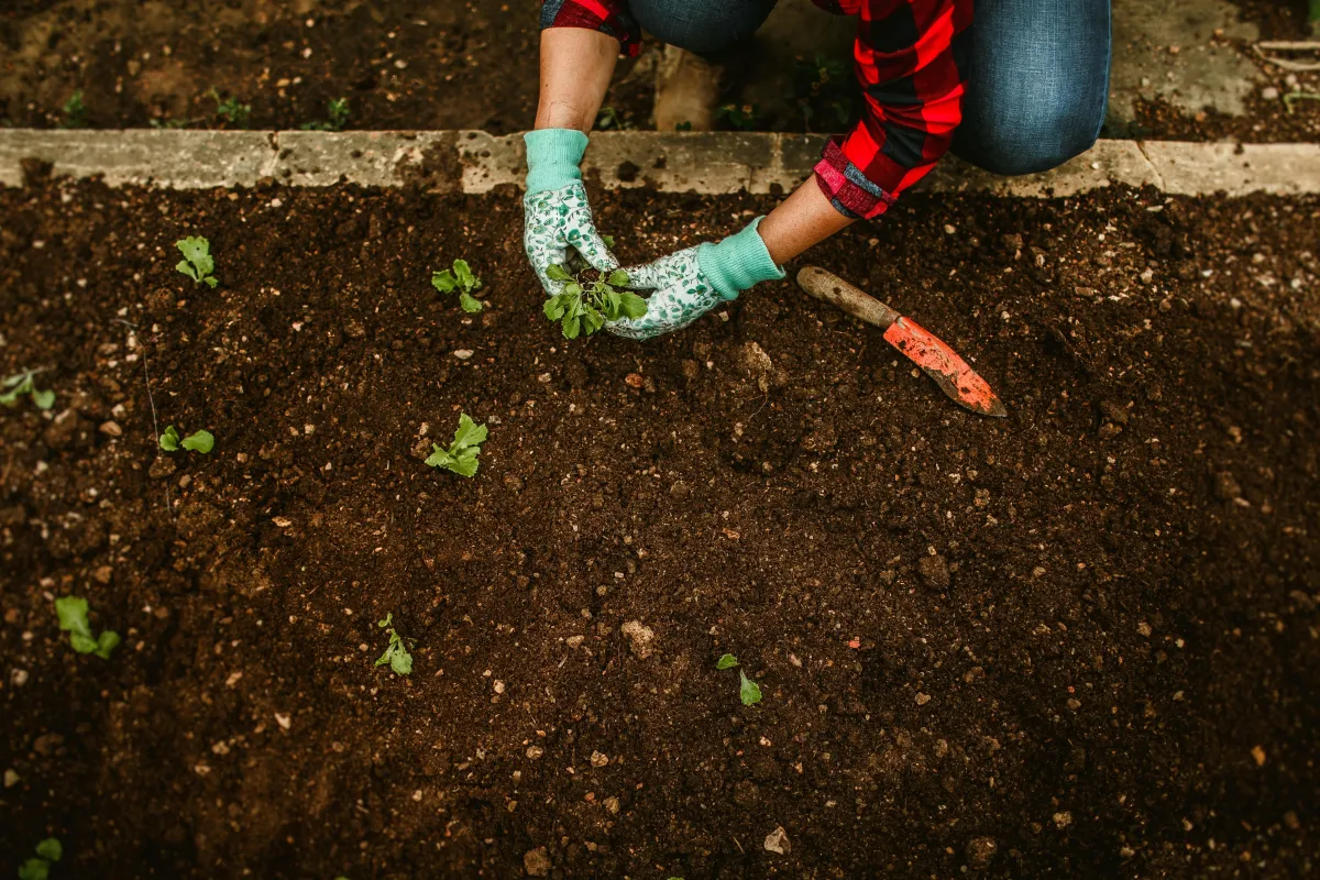 Receiving & Investing Talent with Joy