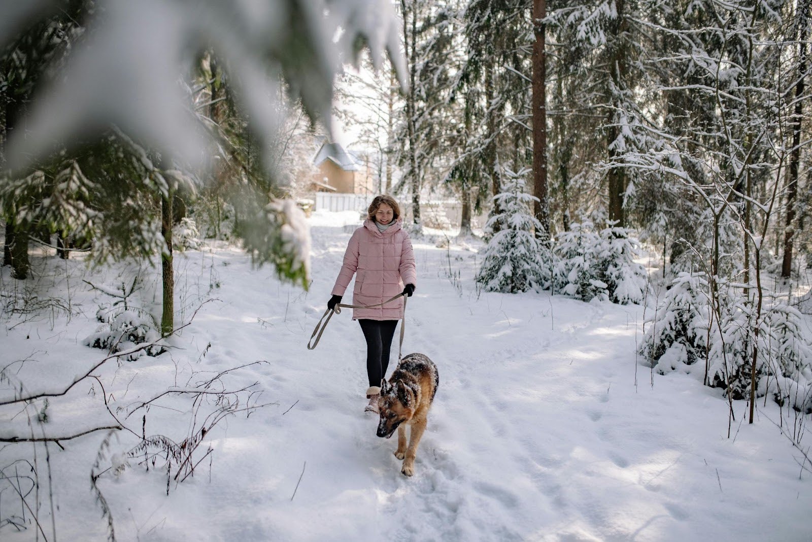 A pet owner walking the dog in the snow