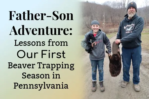 Father-Son Adventure: Lessons from Our First Beaver Trapping Season in Pennsylvania