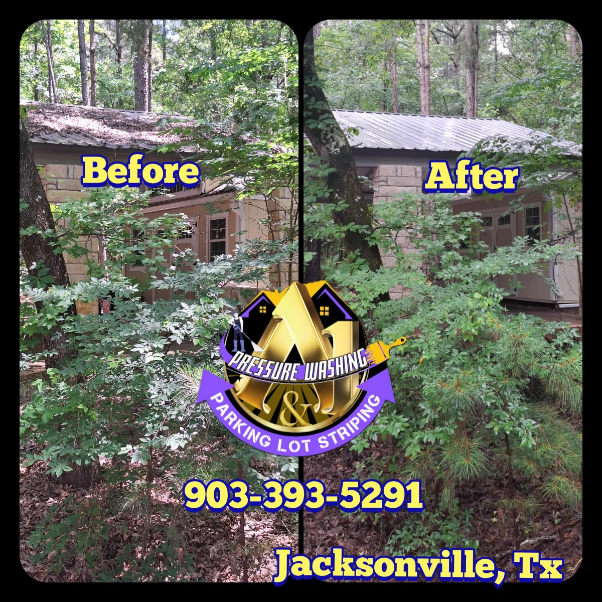 black streaks on roof