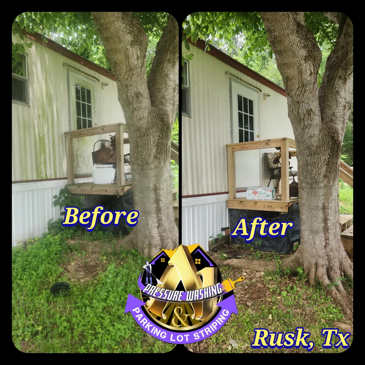 algea on north facing siding