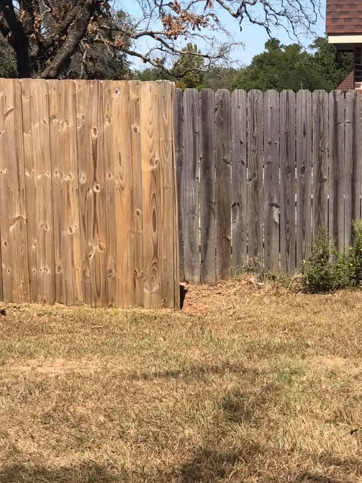 Mildew buildup on fence