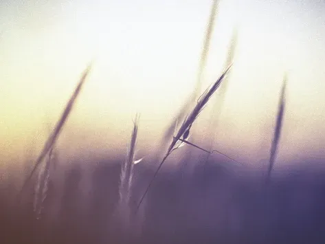 The Storm
