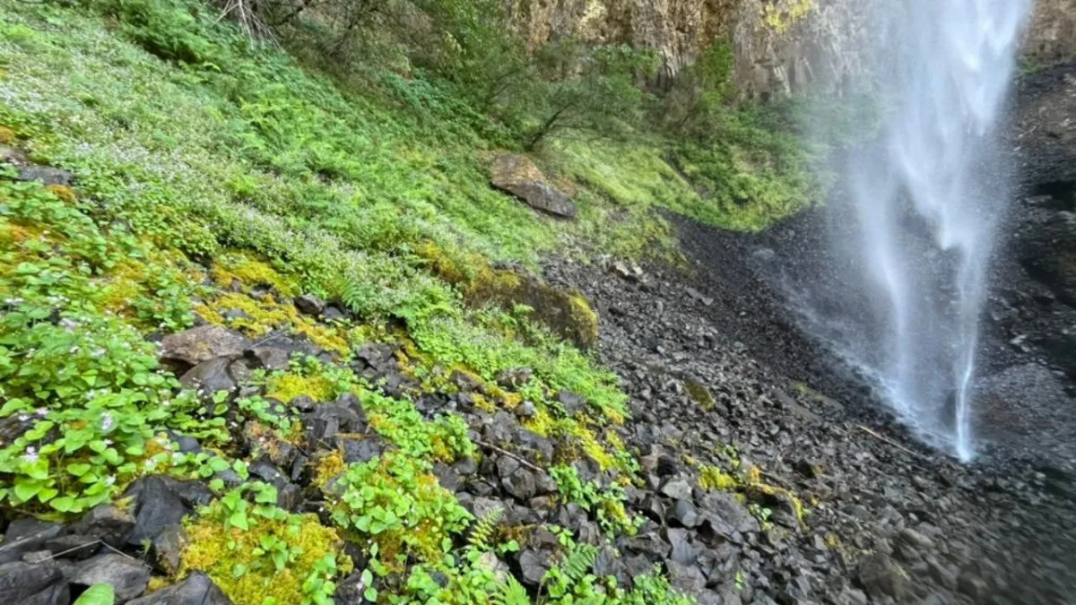 "Just have fun, Mom."