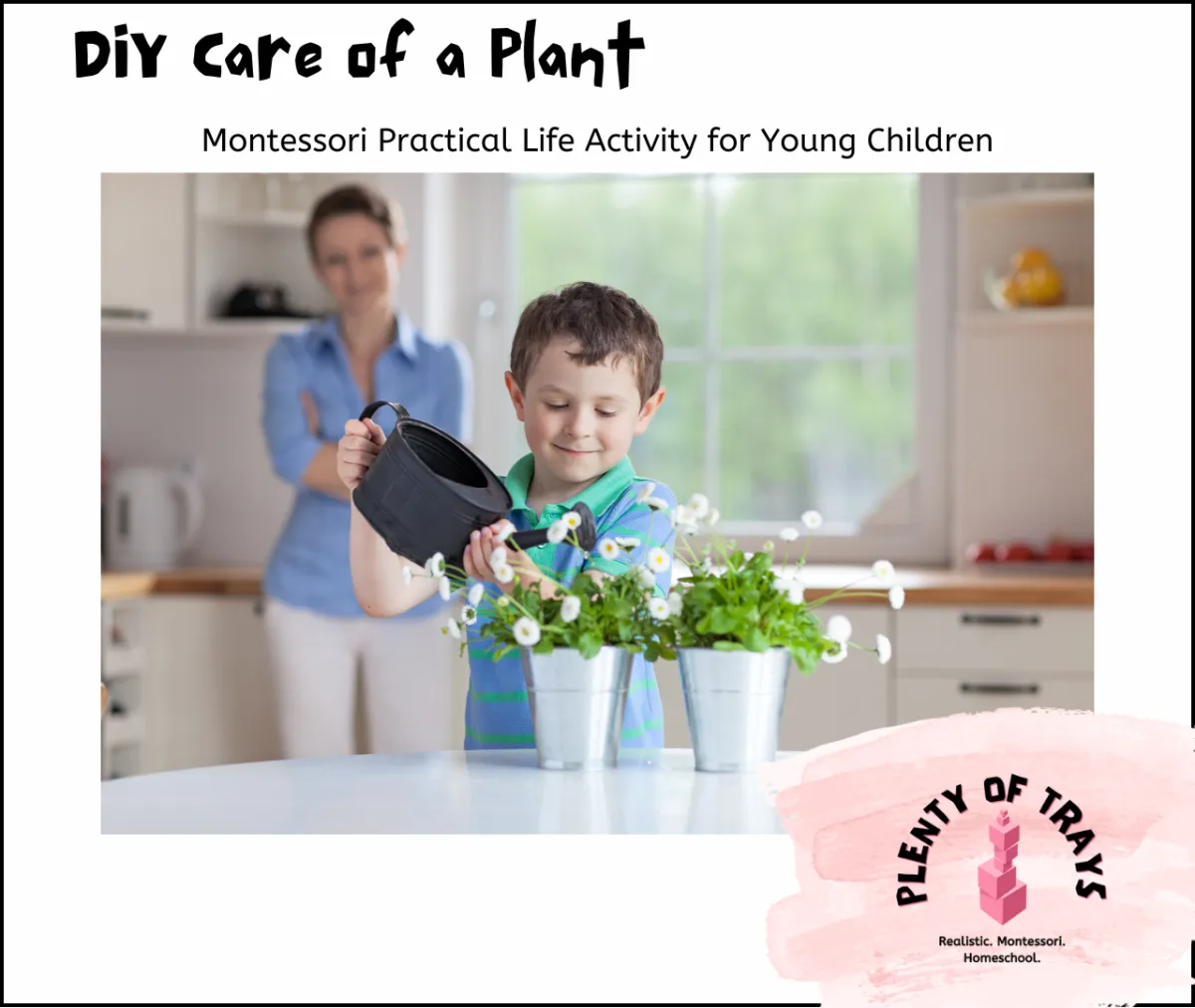 DIY Care of Plant