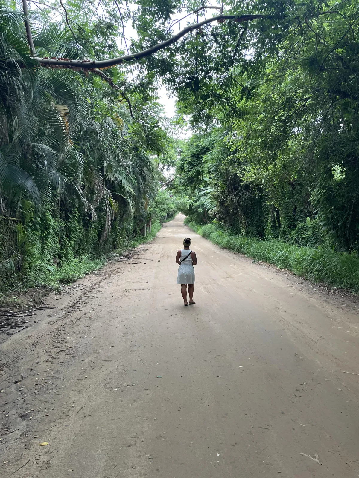 El Poder de la Luz UVA: Energía y Estado de Ánimo Natural