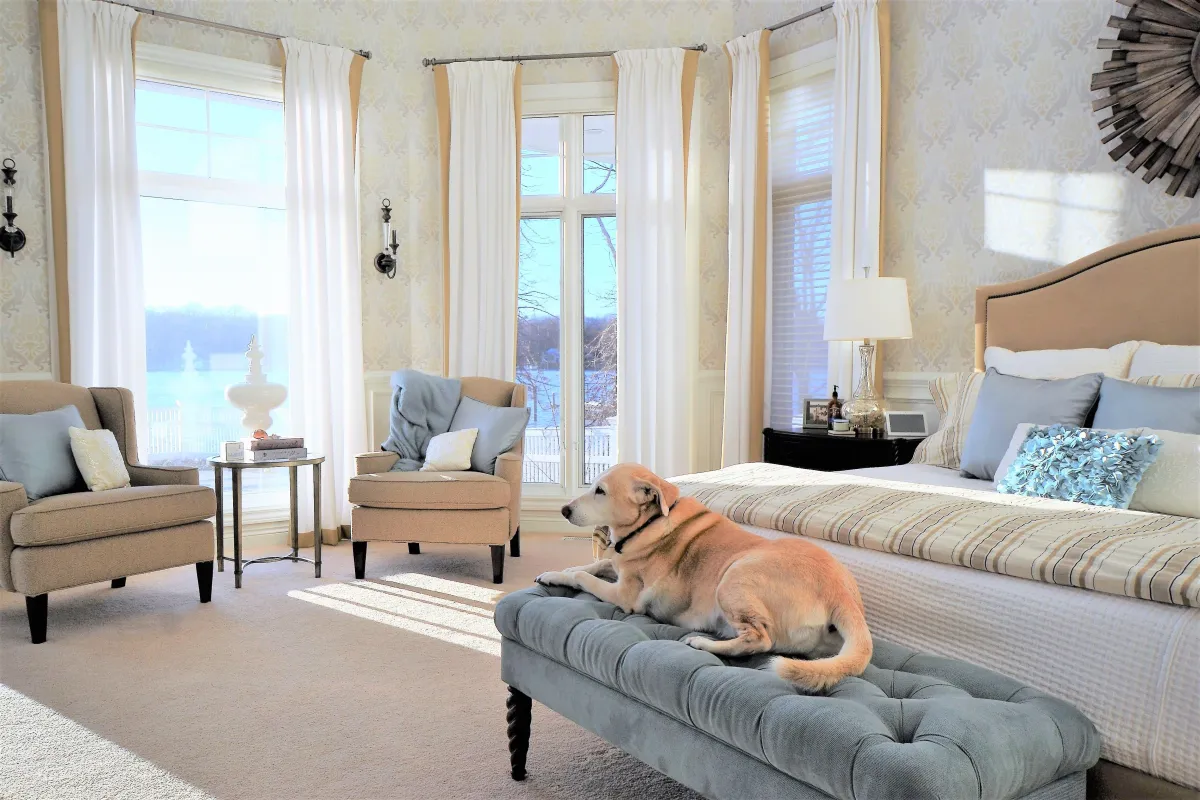 Designing with Pets in Mind: Home Interior Design Without Compromising Style