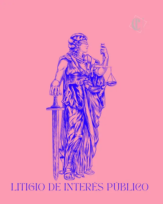 litigio de interés público - derechos humanos - argumentación