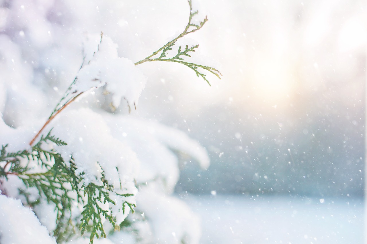 Christmas joy and overwhelm