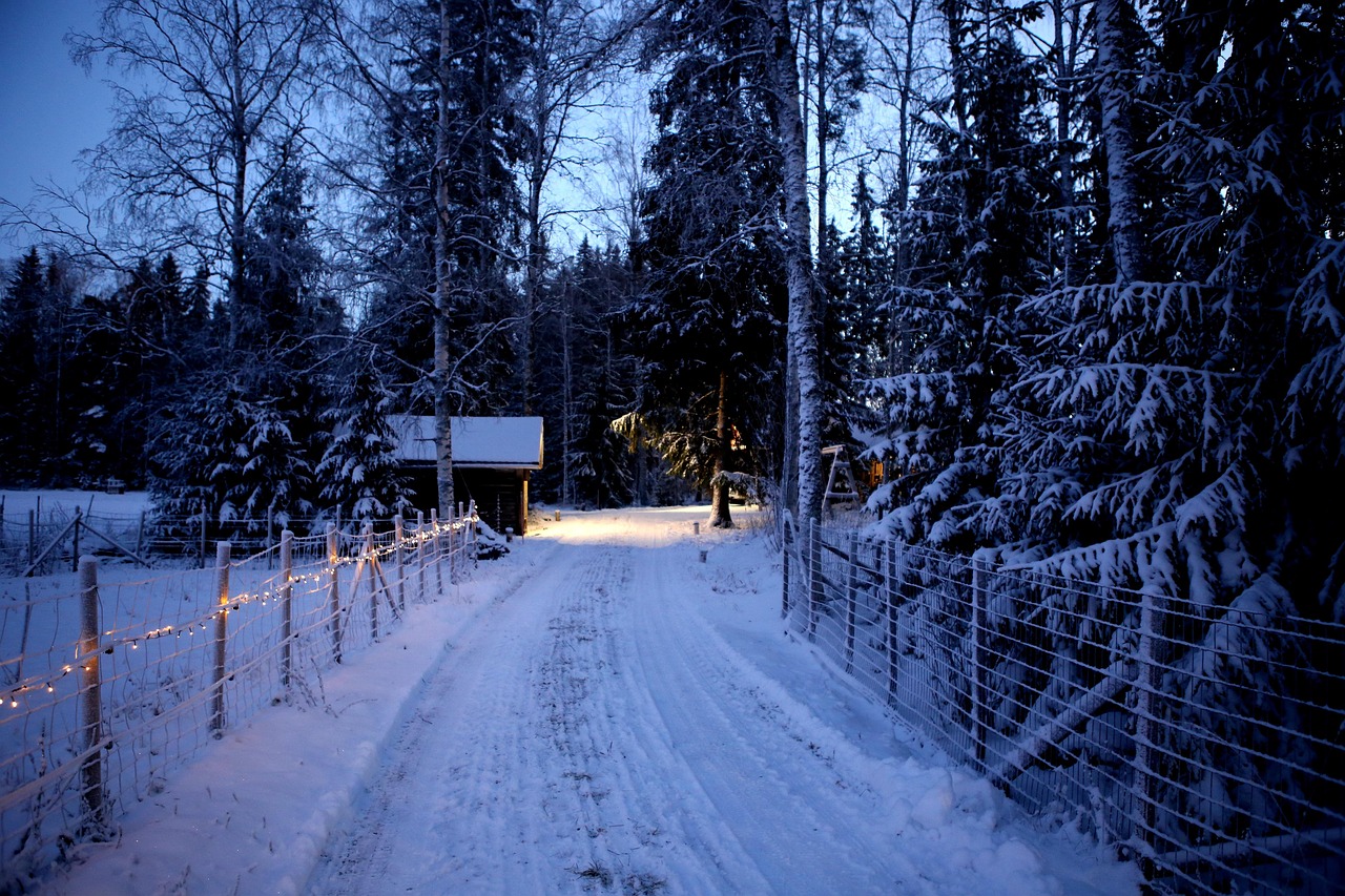 home for christmas